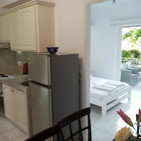 Steven Apartment Vasiliki (Lefkada)
