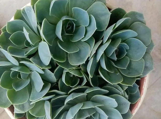 Steven Vasiliki (Lefkada)